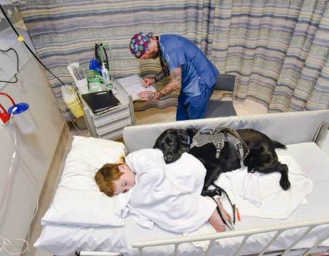 NAJBOLJI PRIJATELJ NA SVETU: Pas koji je odbio da dečaka pusti samog na operaciju!