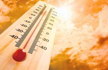 Stotine mrtvih od toplinskog vala u Portugalu i Španjolskoj: U jednom trenutku temperatura se na…