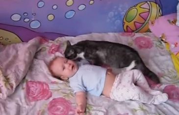 Beba je bespomoćno ležala na krevetu, a ono što je mačka uradila ćete posmatrati u čudu!