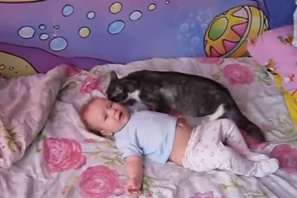 Beba je bespomoćno ležala na krevetu, a ono što je mačka uradila ćete posmatrati u čudu!