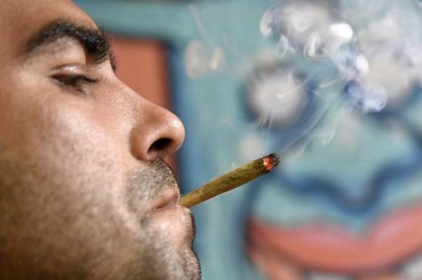 Naučnici otkrili koliko marihuane može da ubije