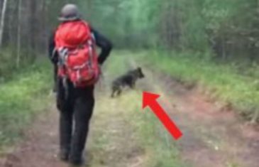 Djevojčica je 12 dana bila izgubljena u šumi. Kada su pronašli njenog psa, odlučili su se da ga prate…