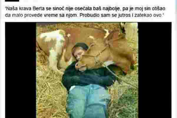 Fotografija dječaka i krave oduševila internet, ali komentar jednog momka je ipak nadjačao sve!