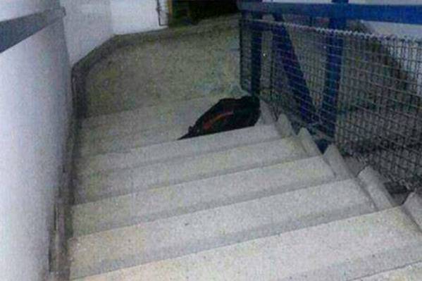 Dječak ostavio školsku torbu na stepenicama i skočio sa 15. sprata