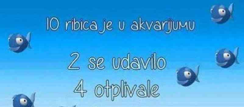 SAMO RIJETKI ĆE USPETI DA ODGOVORE NA PITANJE: Koliko je ribica ostalo u akvarijumu…