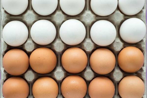 Postoji li zapravo razlika između smeđih i bijelih jaja?