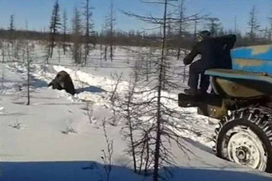Uznemirujući video: Pregazili medvjeda kamionom, sve snimili i objavili
