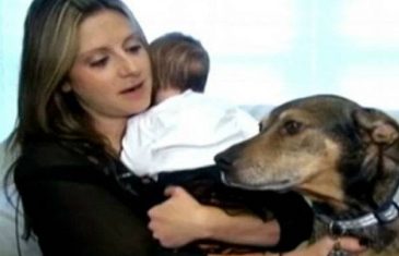 Ovaj pas je heroj: Spasio bebu koja je prestala da diše, pogledajte šta je uradio