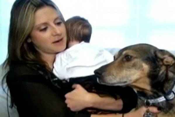Ovaj pas je heroj: Spasio bebu koja je prestala da diše, pogledajte šta je uradio