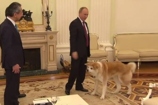 Putinov pas preplašio novinare iz Japana: Evo kako ga je gazda Vladimir smirio