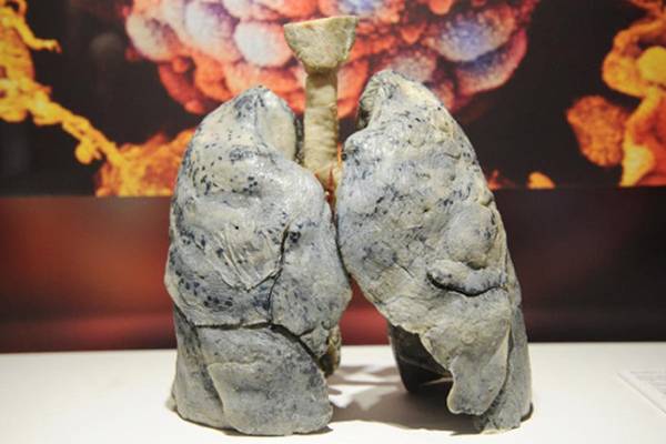 Napitak koji pušačima spašava pluća