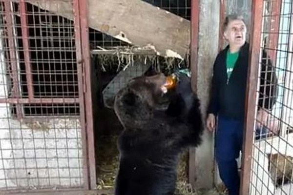 Emin Ljutić iz Gornjeg Vakufa kuću ustupio svojim ljubimcima medvjedima