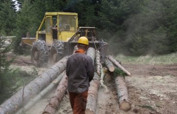 Direktoru “Unsko-sanskih šuma” novac za ugovore
