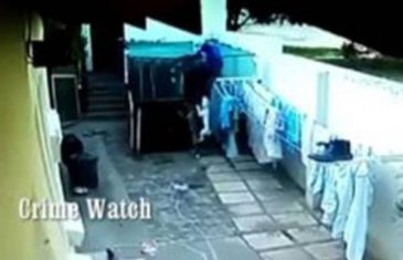 Jedva spasio živu glavu: Lopov upao u dvorište koje su čuvala dva Bull terijera (VIDEO)