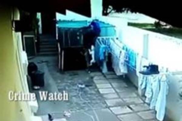 Jedva spasio živu glavu: Lopov upao u dvorište koje su čuvala dva Bull terijera (VIDEO)