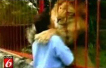 NJEGOVA REAKCIJA JE ZAPREPASTILA SVE: Prišla je kavezu lava koga je othranila, a onda je usledio šok (VIDEO)