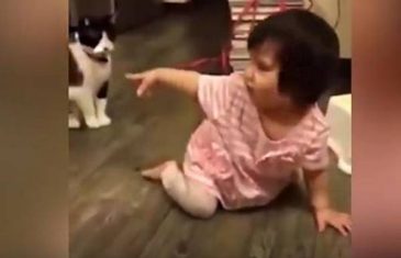 (VIDEO) Mačka namjerno saplela bebu