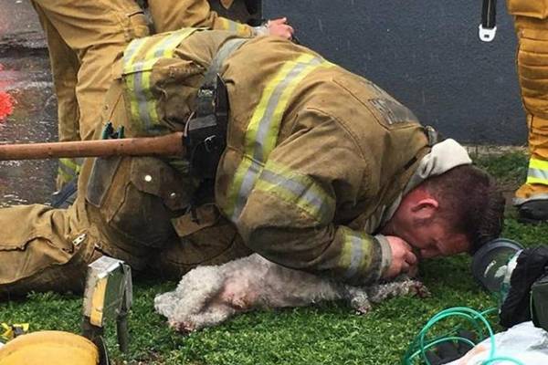 Davao psu disanje USTA NA USTA: Vatrogasac pokazao šta znači prava ljubav prema životinjama (FOTO)
