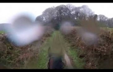 [VIDEO] Sjeo je na starog trkaćeg konja i krenuo u šetnju šumom. Samo par trenutaka kasnije, doživio je nešto što će DUGO PAMTITI