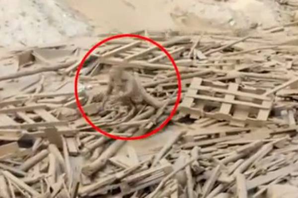 JEZIVO:Žena prekrivena blatom jedva se spasila nakon pokretanja klizišta..VIDEO