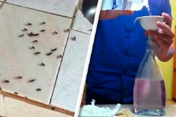 Jednostavan trik koji će spriječiti muhe da ulaze u vaš dom