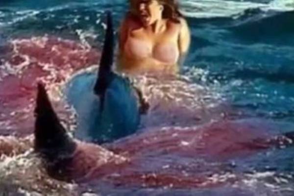 Stravično! Djevojka je probala “vožnju” na kitu ubici kao atrakciju ljetovališta, ali kit je pobijesnio i grizao ju..VIDEO