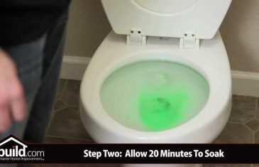 Majstor je izlio deterdžent za pranje posuđa u WC šolju, a kada vidite razlog odmah ćete probati! (VIDEO)