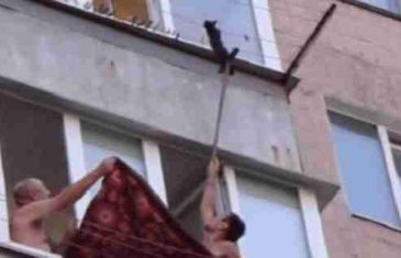 Spasili malu macu koja je visila na žici za sušenje veša! (VIDEO)
