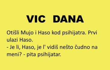 VIC DANA: Mujo i Haso kod psihijatra