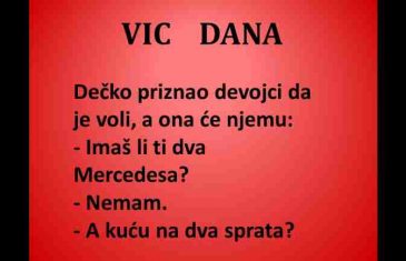 VIC DANA: Sve za ljubav