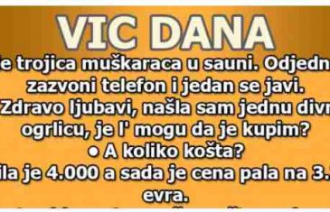 VIC DANA: Trojica muškaraca u sauni