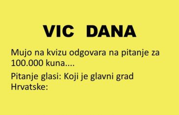 VIC DANA: Mujo u kvizu ŽELITE LI DA POSTANETE MILIONER