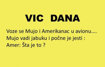 VIC DANA: Mujo i Amerikanac u avionu…