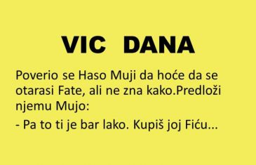 VIC DANA: Mujo savetuje Hasu kako da se oslobodi Fate