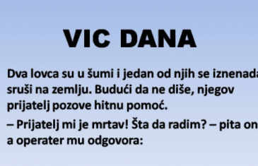 VIC DANA: Dva lovca su u šumi