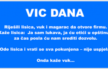 VIC DANA: Riješili lisica, vuk i magarac da otvore firmu…