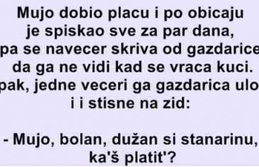 Mujo dobio plaću i po običaju je spiskao sve za par dana