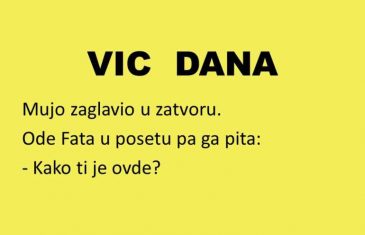 VIC DANA: Mujini jadi