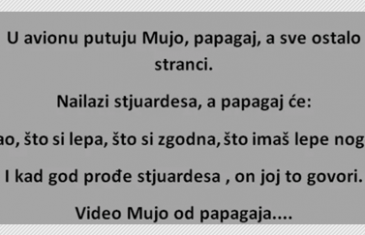 VIC DANA: Putuju Mujo i papagaj