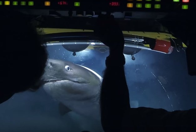 Pogledajte zastrašujući napad golemih morskih pasa na podmornicu