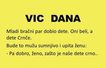 VIC DANA: Glup k'o tele