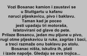 VIC DANA : Bosanac kamiondžija
