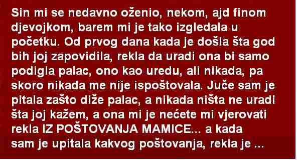 SIN MI SE NEDAVNO OŽENIO, NEKOM, AJD FINOM DJEVOJKOM, BAREM MI JE TAKO IZGLEDALA U POČETKU