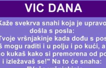 VIC DANA: Kaže svekrva snahi koja je upravo došla sa posla…