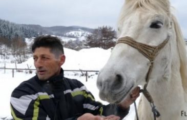 HIT NA DRUŠTVENIM MREŽAMA: Konj Zekan iz Travnika najviše voli jesti ćevape