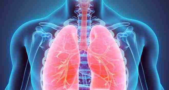 Eliminirajte konačno toksine iz pluća i jetre: Ovo su najjači ‘čistači’ koje morate konzumirati!