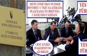 Ustavni sud BiH presudio u korist osobe koja je Dodika na satiričan način predstavila kao Hitlera