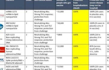 Objavljena važna tablica efikasnosti najpoznatijih vakcina: Pogledajte kako stvari stoje