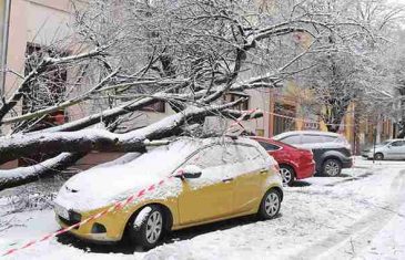 Znate li da možete naplatiti štetu uzrokovanu padom drveta ili grane na automobil